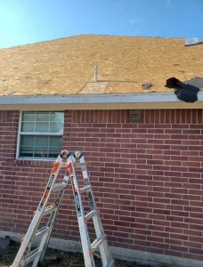 Shingles Works-4